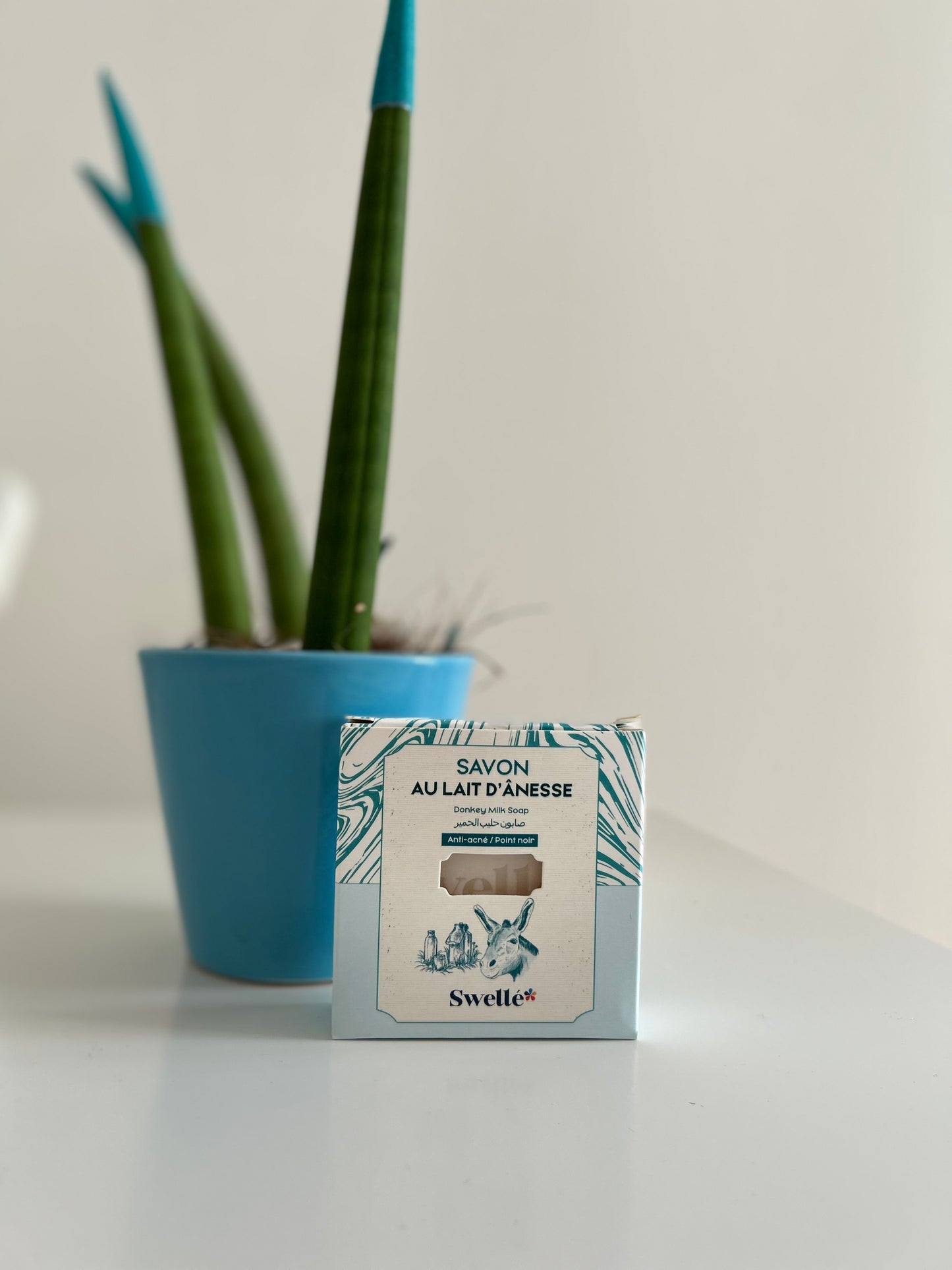 DONKEY SOAP MILK / EŞEK SÜTLÜ SABUN