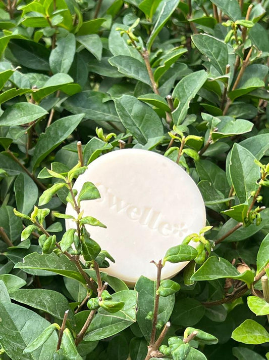 GOAT MILK SOAP MASK / KEÇİ SÜTLÜ MASKELİ SABUN